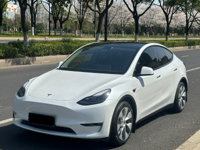 2022年2月 特斯拉 Model Y 后驅(qū)版圖片