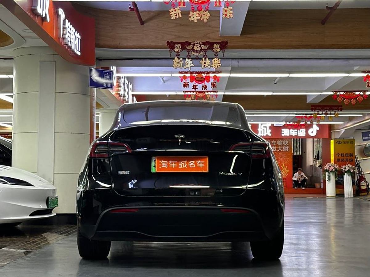 特斯拉 Model 3  2020款 改款 長續(xù)航后輪驅動版圖片