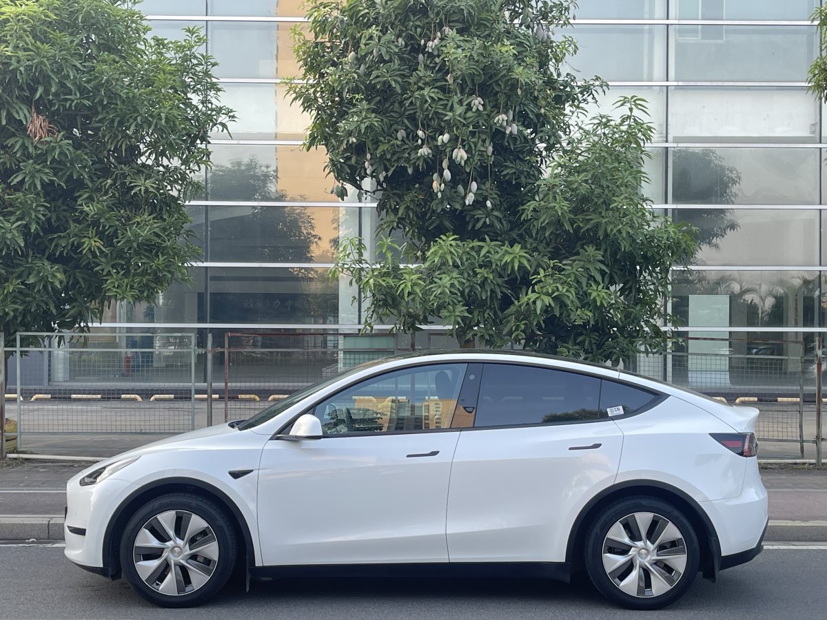 特斯拉 Model Y  2022款 后輪驅(qū)動版圖片