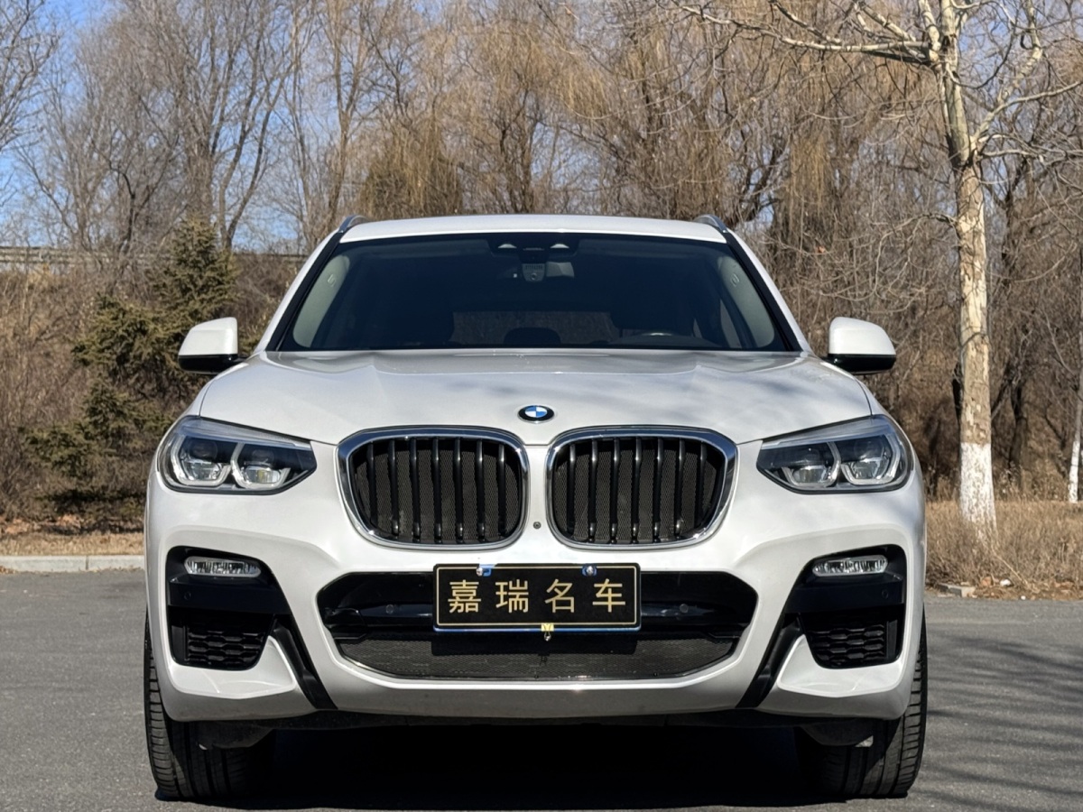 寶馬 寶馬X3  2019款  xDrive30i 領(lǐng)先型 M運(yùn)動(dòng)套裝圖片