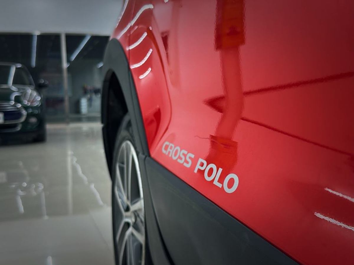 大眾 Polo  2012款 1.6L Cross Polo AT圖片