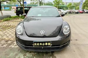 甲殼蟲 大眾 1.2TSI 時(shí)尚型