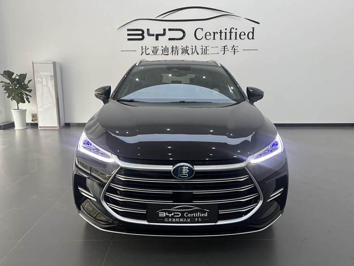 比亞迪 唐新能源  2021款 DM-i 112KM 尊榮型圖片