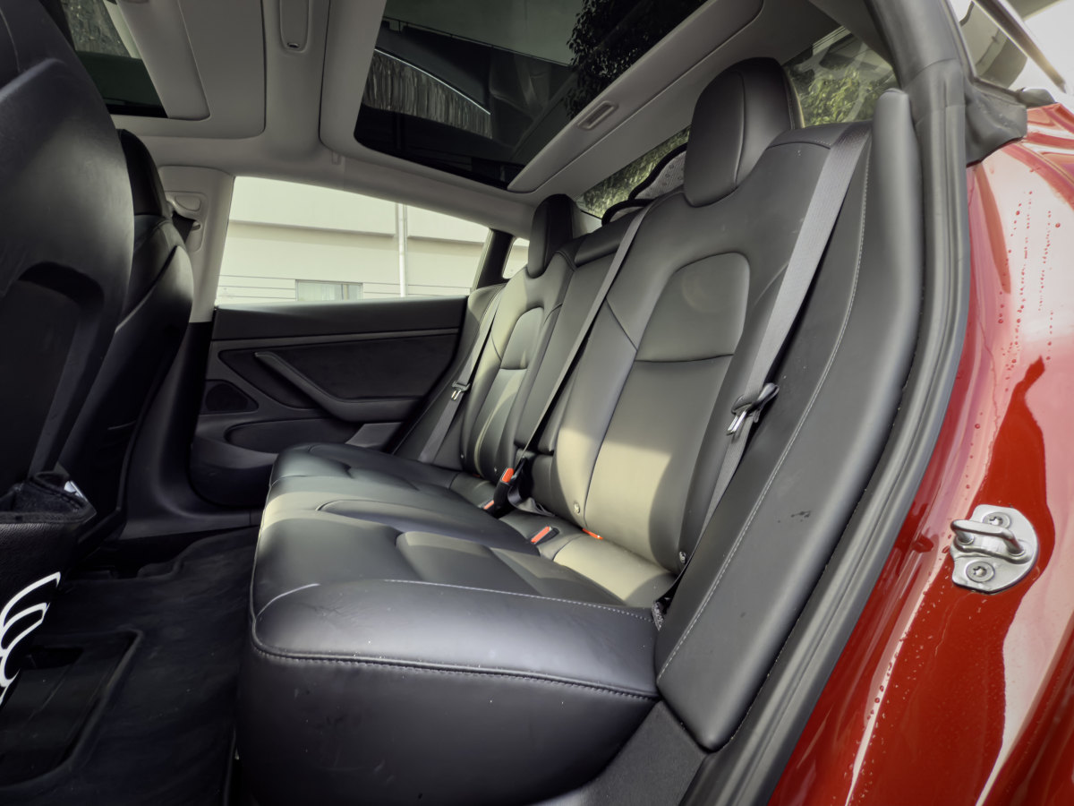 特斯拉 Model 3  2020款 改款 標(biāo)準(zhǔn)續(xù)航后驅(qū)升級(jí)版圖片