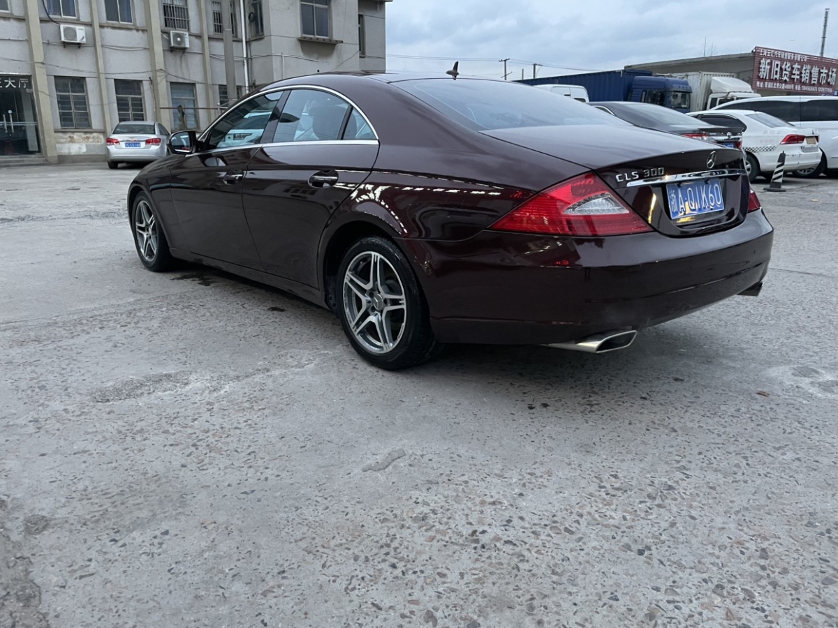 奔馳 奔馳CLS級(jí)  2009款 CLS 300圖片