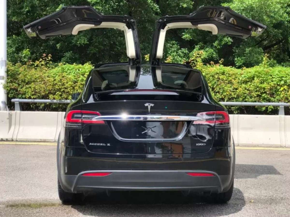 特斯拉 Model X  2017款 Model X 100D 长续航版图片