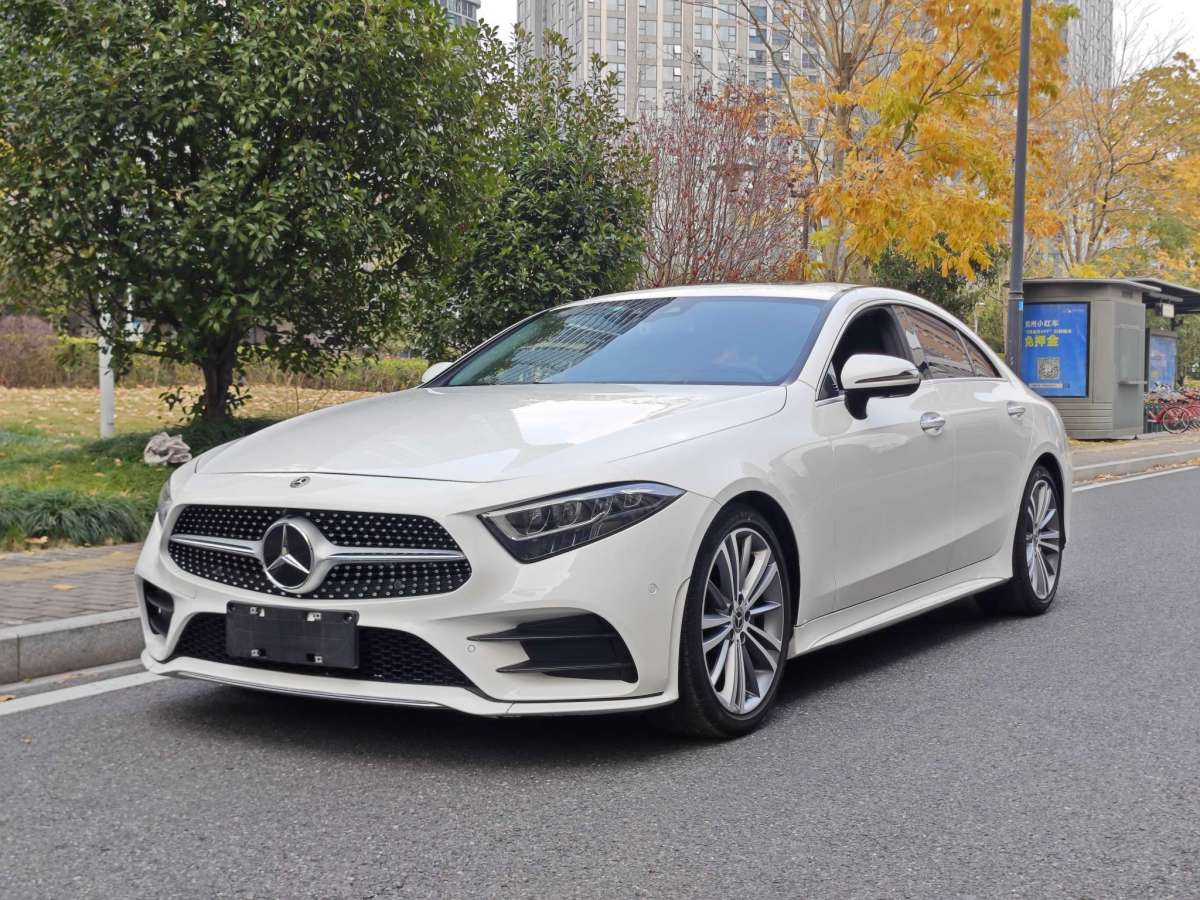 奔馳 奔馳CLS級(jí)  2020款 CLS 300 豪華型圖片