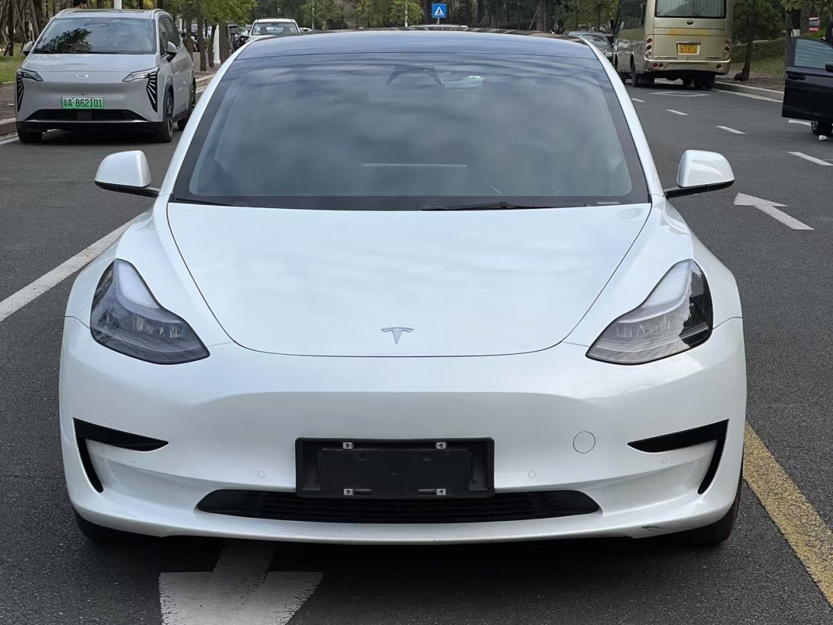 特斯拉 Model 3  2021款 標(biāo)準(zhǔn)續(xù)航后驅(qū)升級(jí)版 3D6圖片