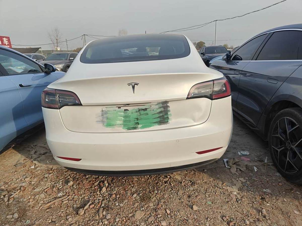 特斯拉 Model 3  2019款 標準續(xù)航后驅升級版圖片