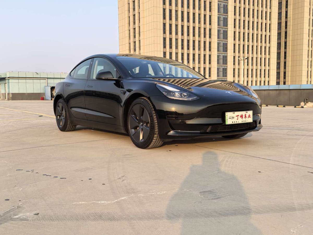 特斯拉 Model 3  2021款 標(biāo)準(zhǔn)續(xù)航后驅(qū)升級(jí)版圖片