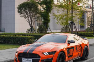 Mustang 福特 5.0L V8 GT