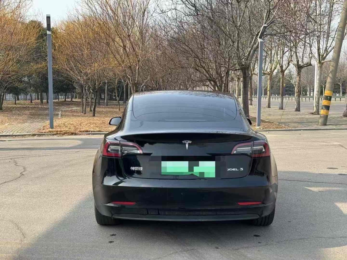 特斯拉 Model 3  2019款 標(biāo)準(zhǔn)續(xù)航后驅(qū)升級(jí)版圖片