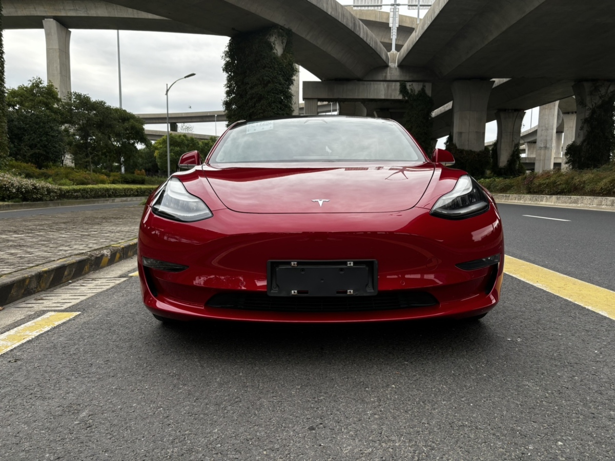 特斯拉 Model 3  2019款 長(zhǎng)續(xù)航后驅(qū)版圖片