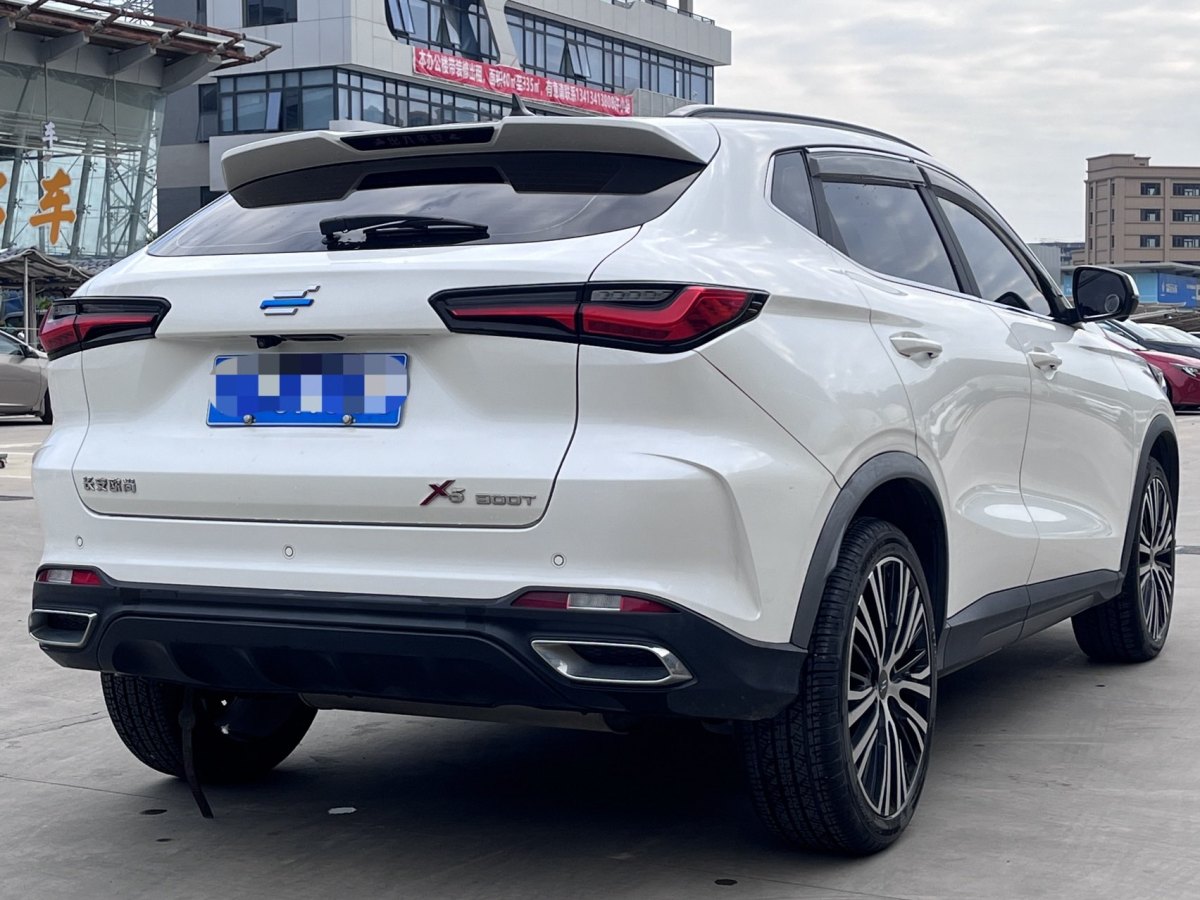 長(zhǎng)安歐尚 長(zhǎng)安歐尚X5  2021款 1.5T DCT旗艦型圖片