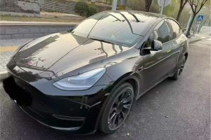 Model 3 特斯拉 Performance高性能全轮驱动版