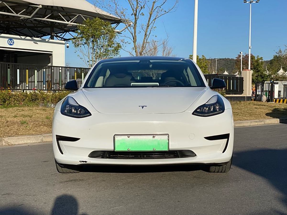 特斯拉 Model 3  2021款 改款 標(biāo)準(zhǔn)續(xù)航后驅(qū)升級(jí)版圖片