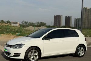 高爾夫 大眾 230TSI 自動(dòng)舒適型