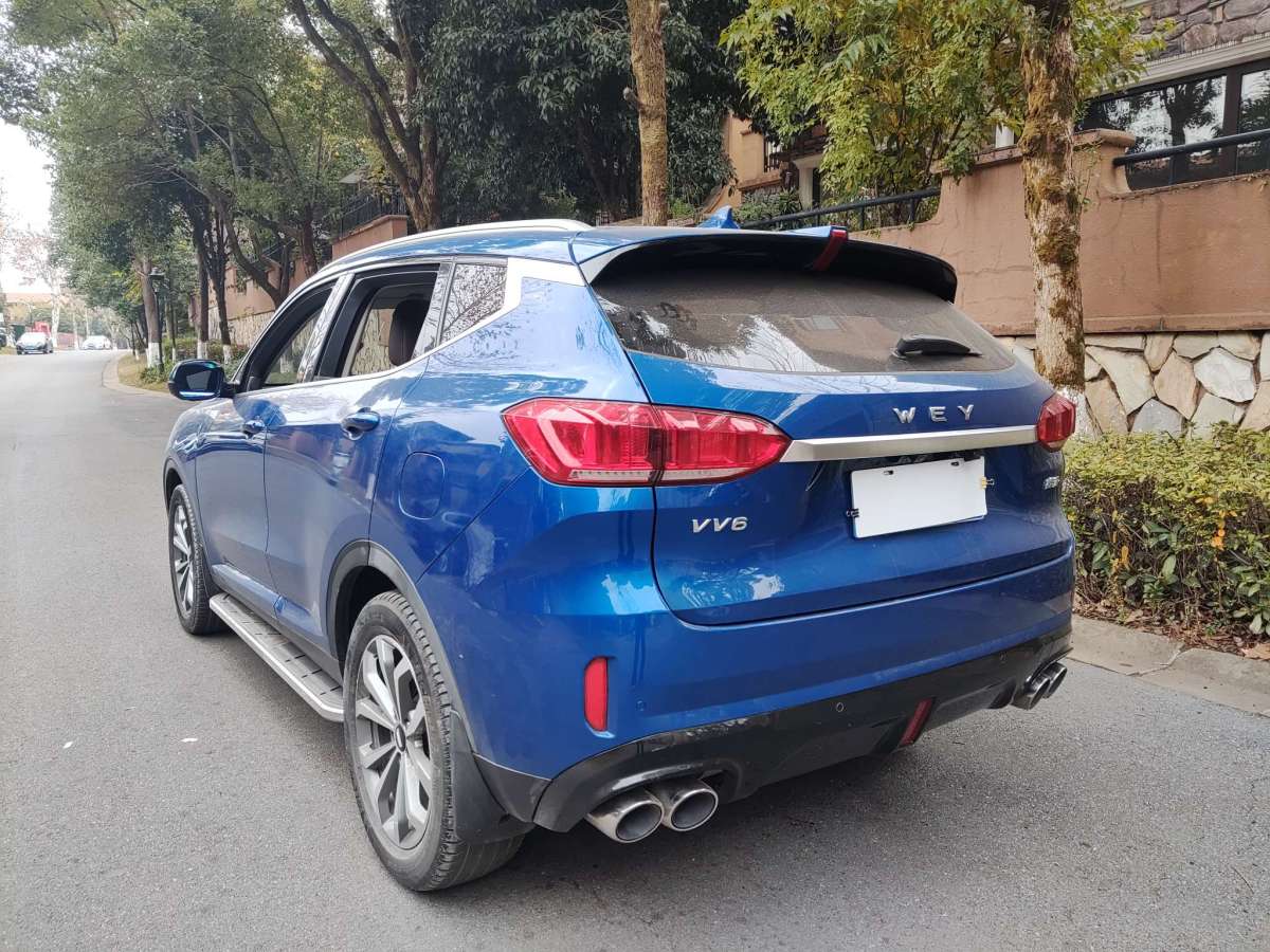 WEY VV6  2019款  2.0T 兩驅(qū)超豪型 國VI圖片