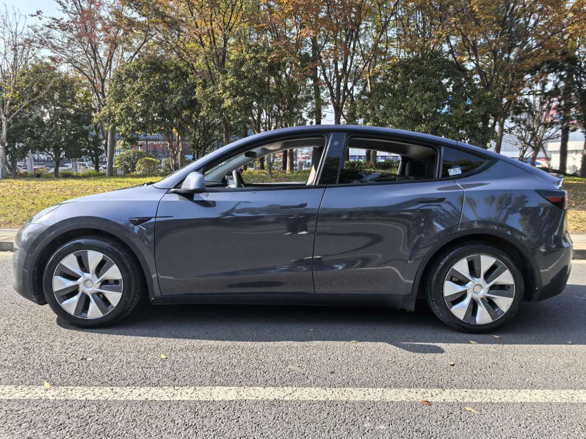 特斯拉 Model Y  2022款 后驅(qū)版圖片