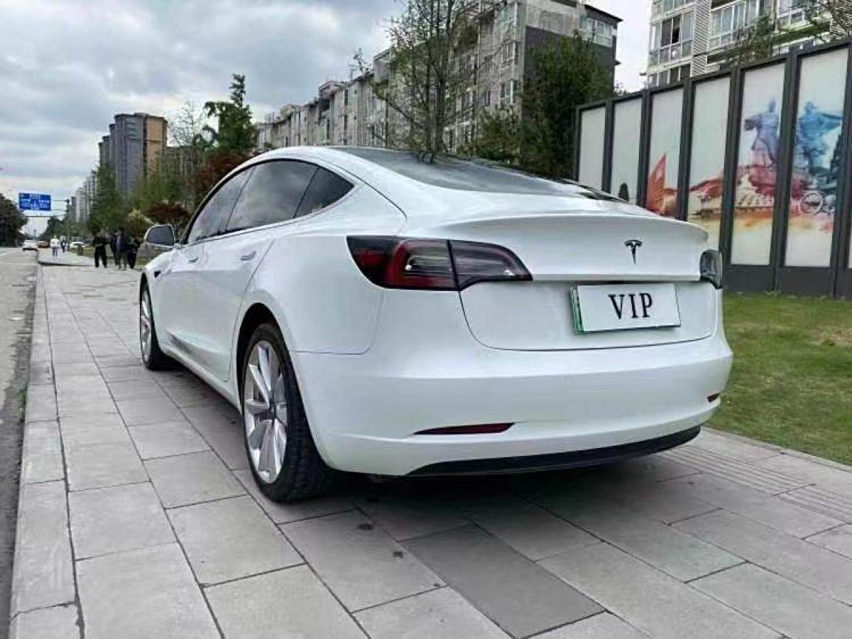 特斯拉 Model 3  2019款 標(biāo)準(zhǔn)續(xù)航后驅(qū)升級(jí)版圖片