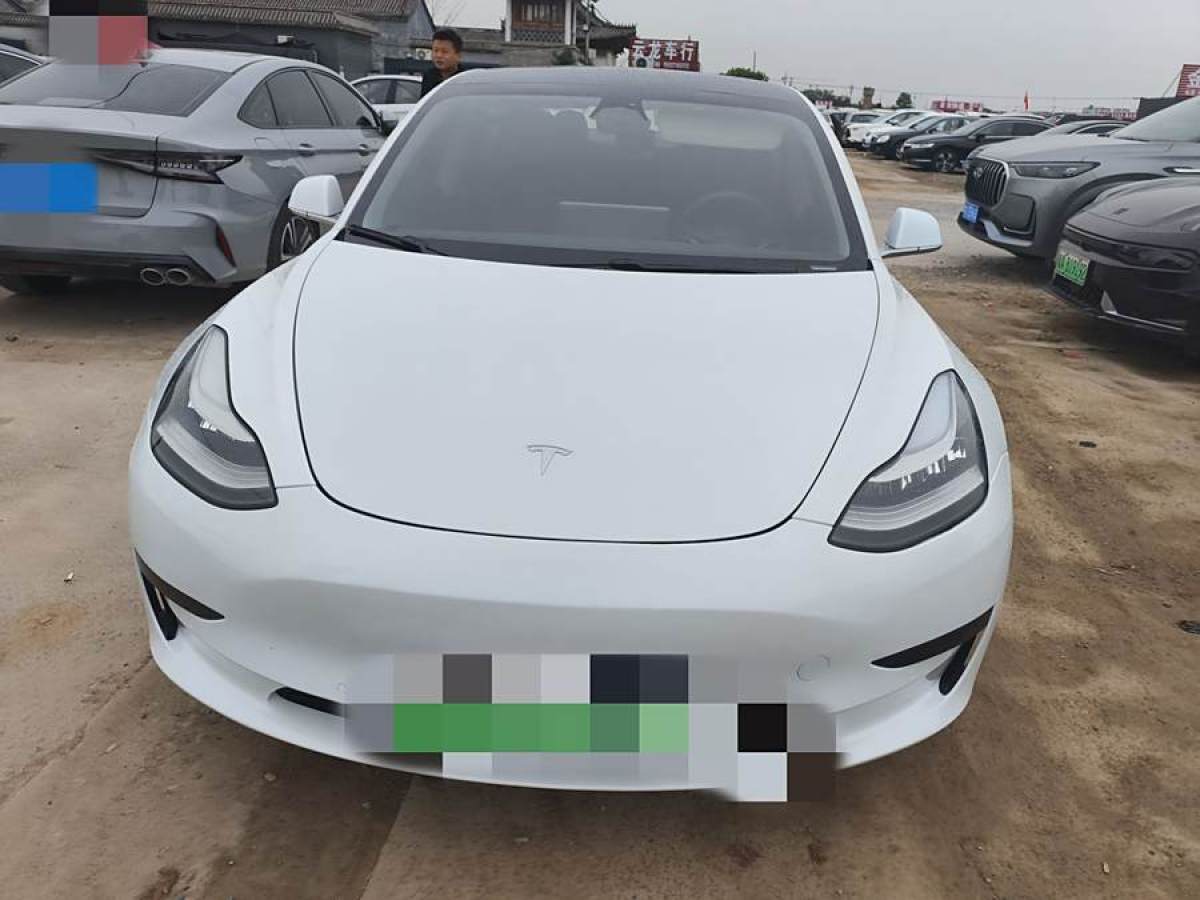 2020年7月特斯拉 Model 3  2019款 標準續(xù)航后驅升級版