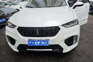 VV7 WEY 2.0T 旗艦型