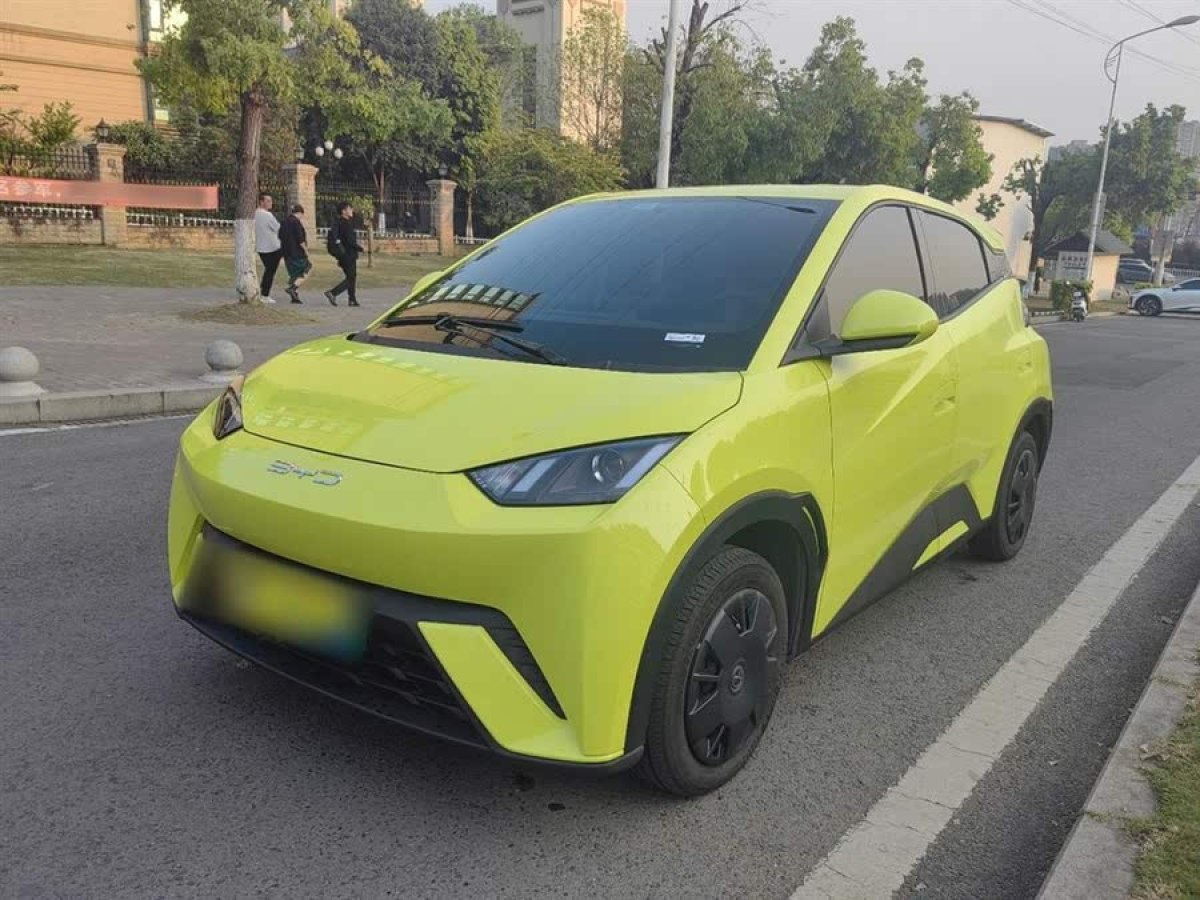比亞迪 海鷗  2023款 活力版圖片