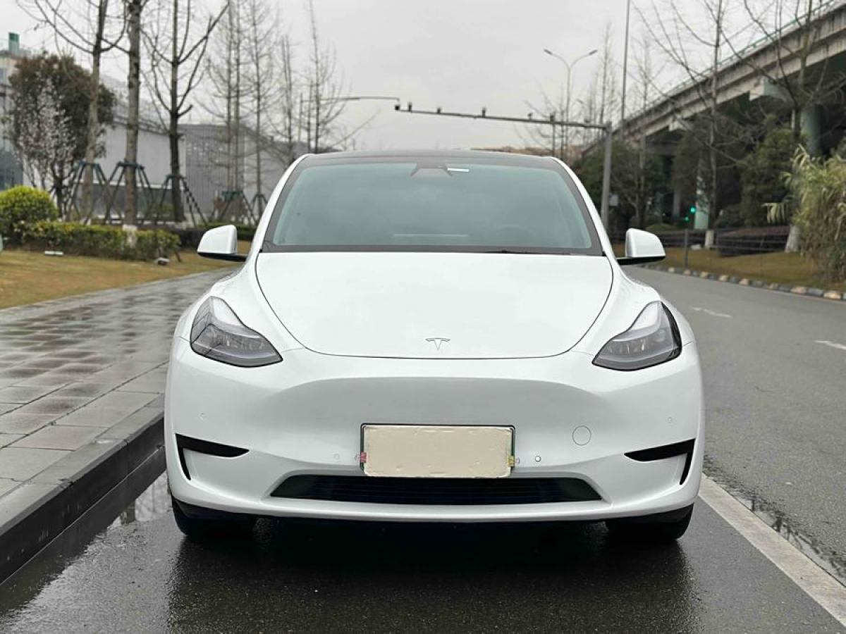 特斯拉 Model 3  2020款 改款 長續(xù)航后輪驅(qū)動(dòng)版圖片