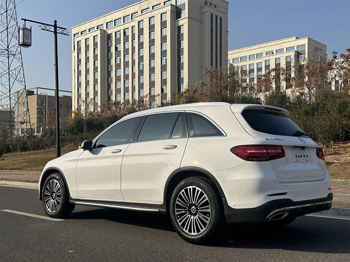 奔馳 奔馳GLC  2019款 GLC 260 4MATIC 動感型圖片