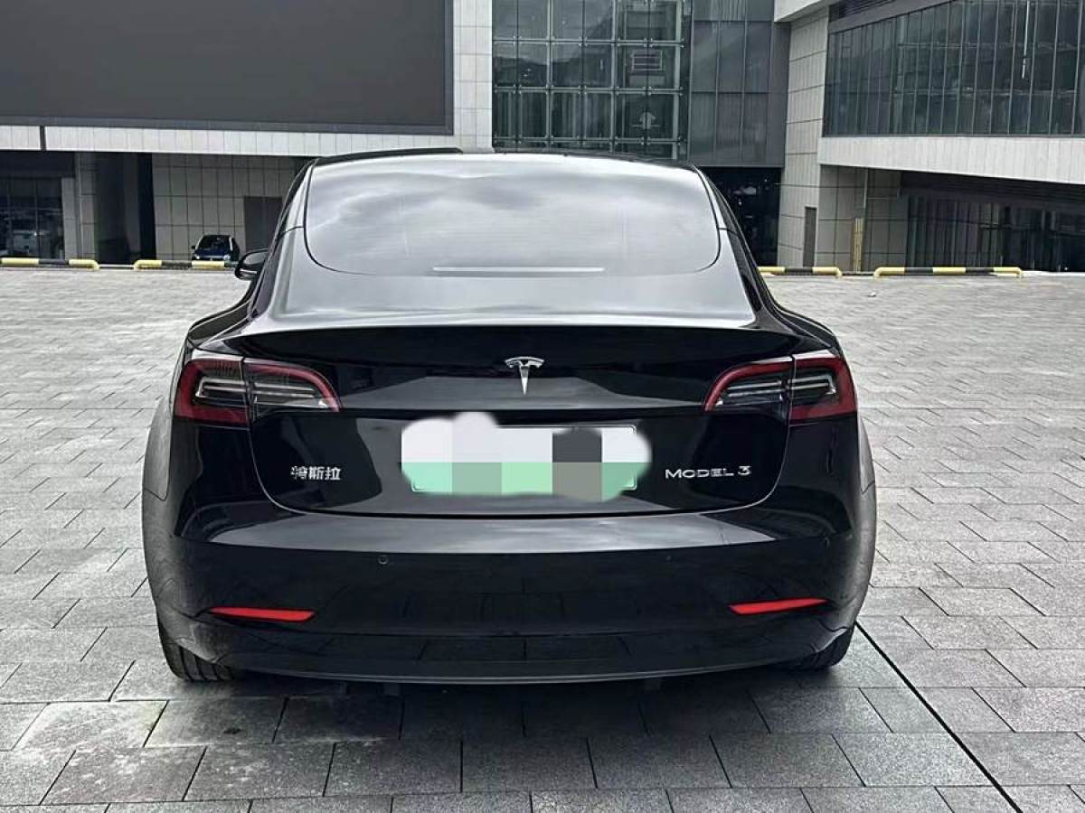 特斯拉 Model 3  2020款 改款 標(biāo)準(zhǔn)續(xù)航后驅(qū)升級版圖片