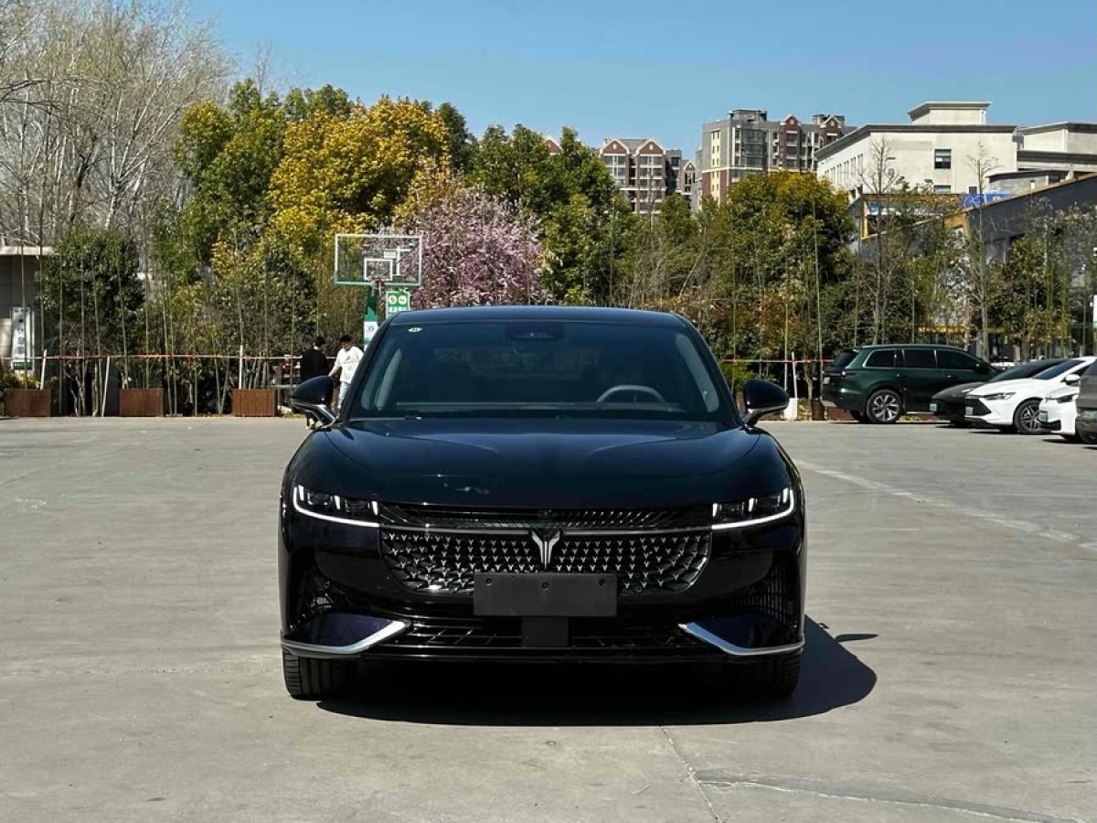 嵐圖 嵐圖追光  2024款 PHEV 四驅(qū)超長續(xù)航旗艦版圖片