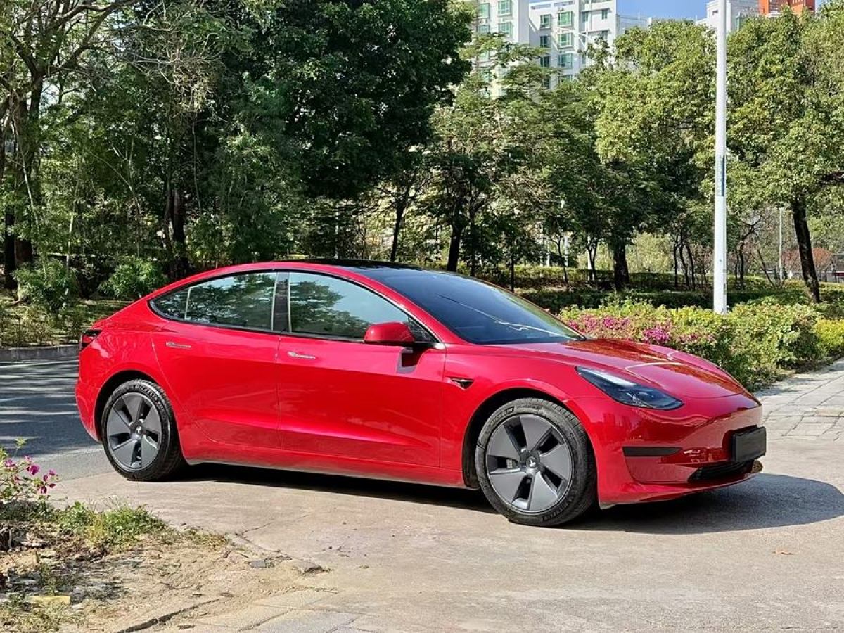 特斯拉 Model 3  2021款 改款 標準續(xù)航后驅(qū)升級版圖片