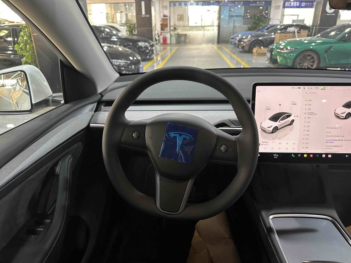 特斯拉 Model Y  2020款 改款 長續(xù)航后輪驅(qū)動版圖片