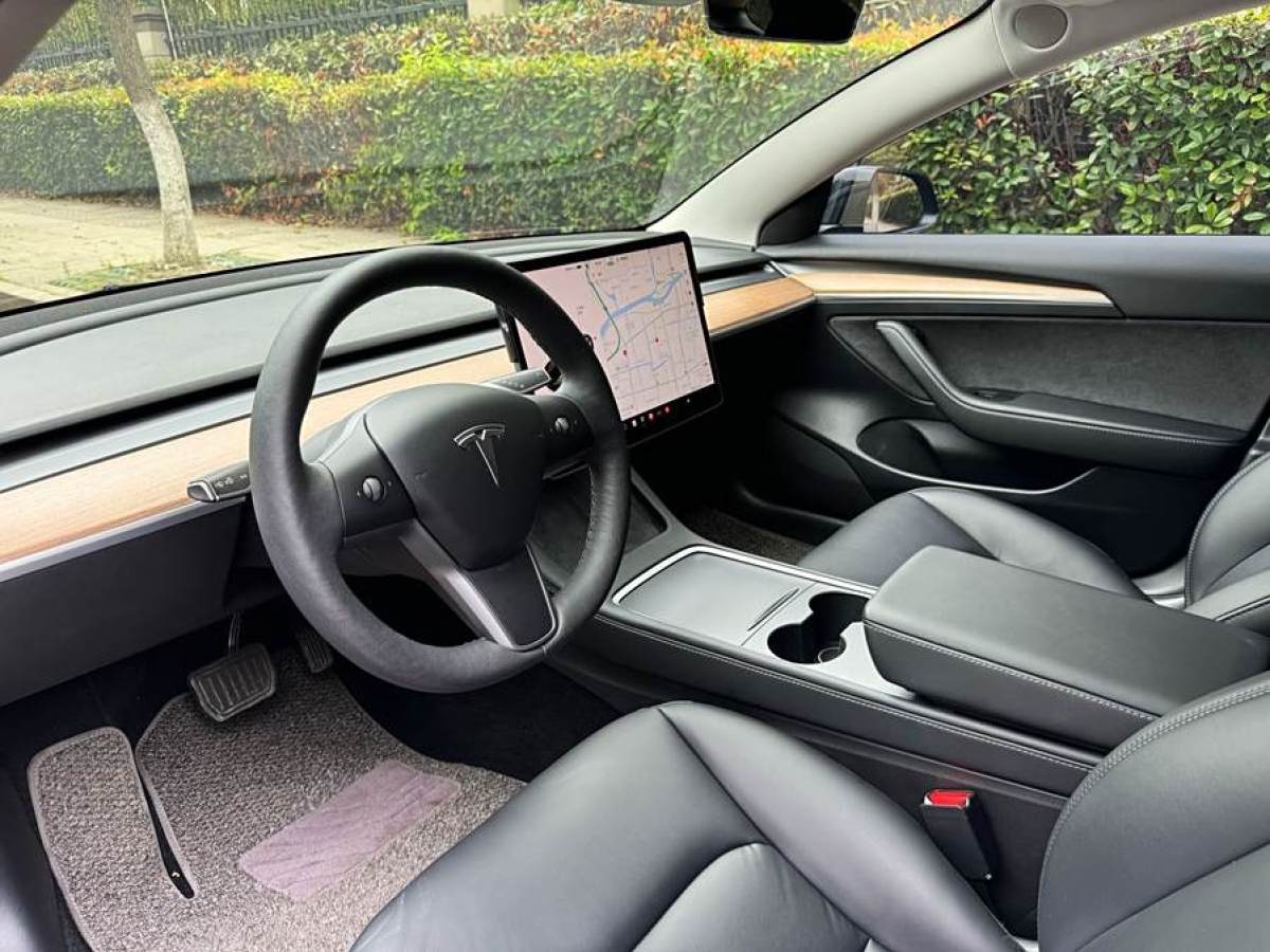 特斯拉 Model 3  2019款 標(biāo)準(zhǔn)續(xù)航后驅(qū)升級版圖片