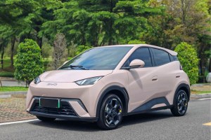 海鷗 比亞迪 305km 自由版