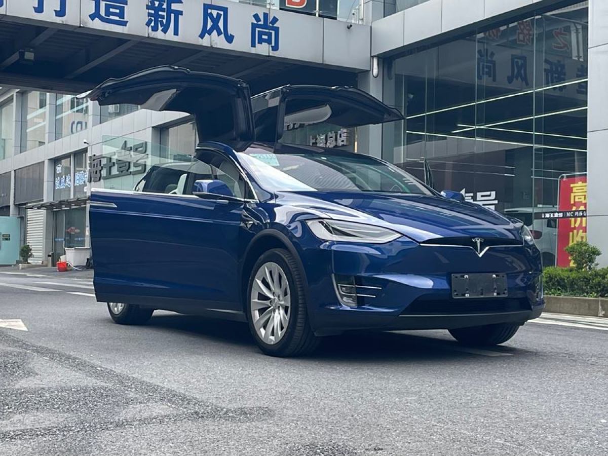 2021年1月特斯拉 Model X  2020款 長續(xù)航升級版