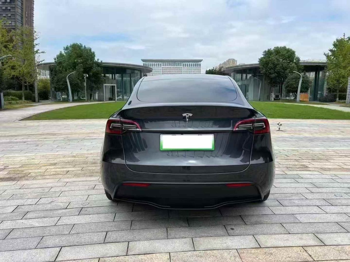特斯拉 Model Y  2024款 Performance高性能版圖片