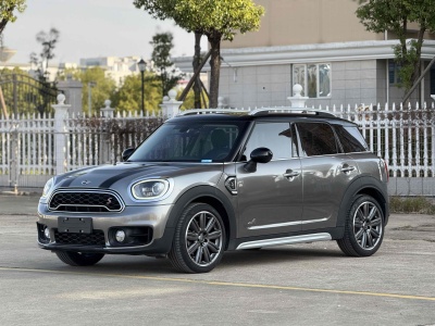 2019年8月 MINI COUNTRYMAN 2.0T COOPER S ALL4 藝術(shù)家圖片