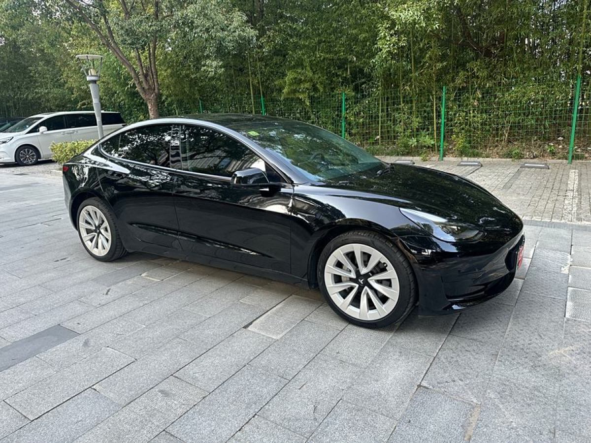 特斯拉 Model 3  2021款 標(biāo)準(zhǔn)續(xù)航后驅(qū)升級版 3D6圖片