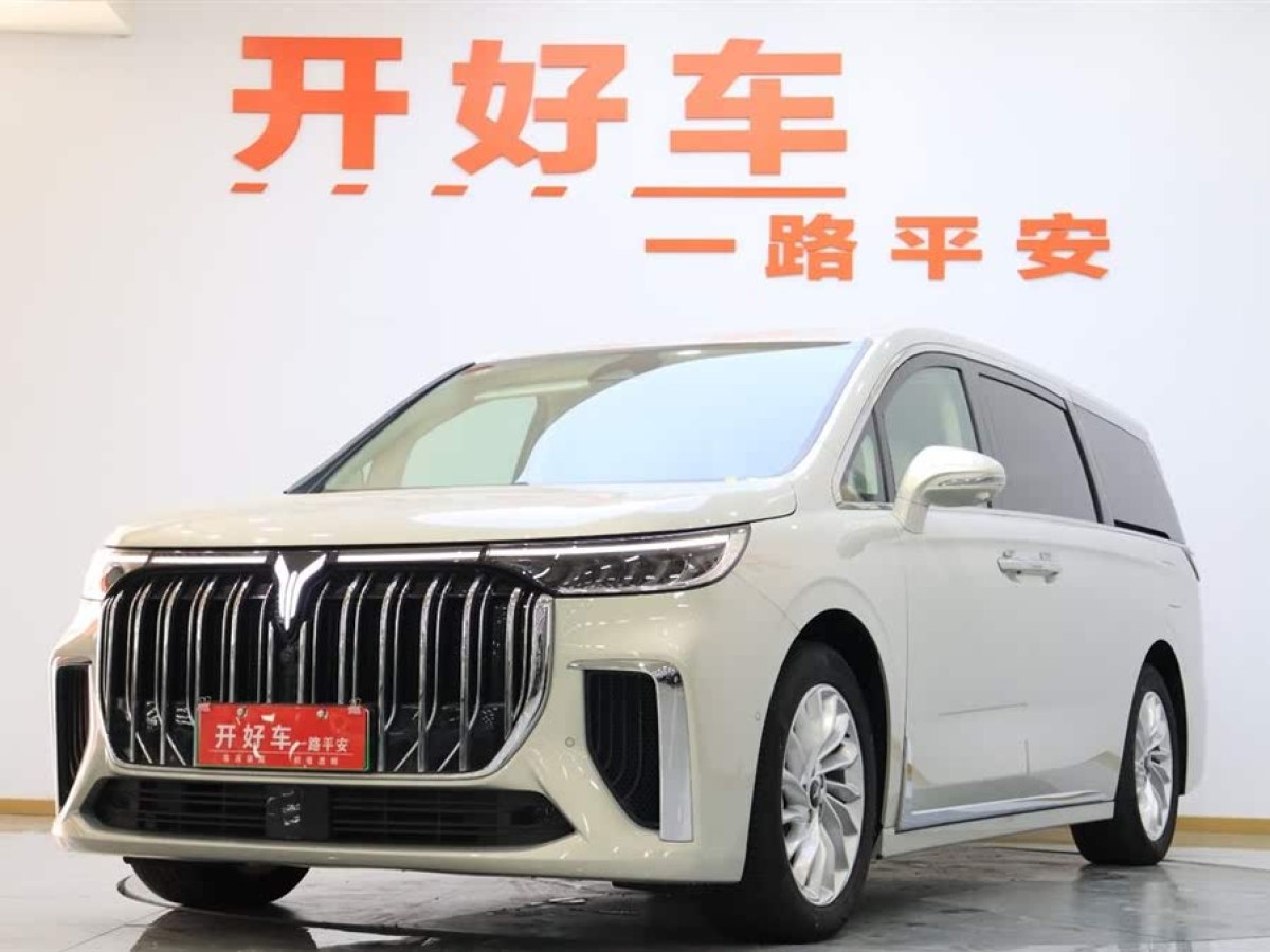 嵐圖 夢(mèng)想家  2024款 PHEV 超長(zhǎng)續(xù)航尊貴版圖片