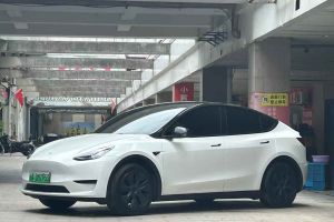 Model Y 特斯拉 Performance高性能版
