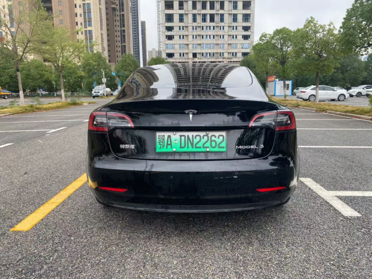 特斯拉 Model 3  2021款 改款 標準續(xù)航后驅(qū)升級版圖片