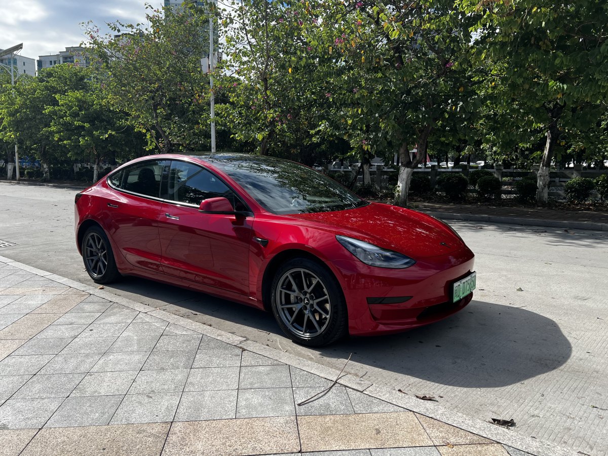 特斯拉 Model 3  2019款 標(biāo)準(zhǔn)續(xù)航后驅(qū)升級(jí)版圖片