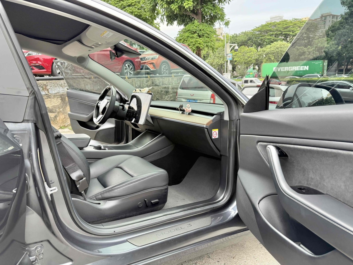特斯拉 Model 3  2019款 長續(xù)航后驅(qū)版圖片