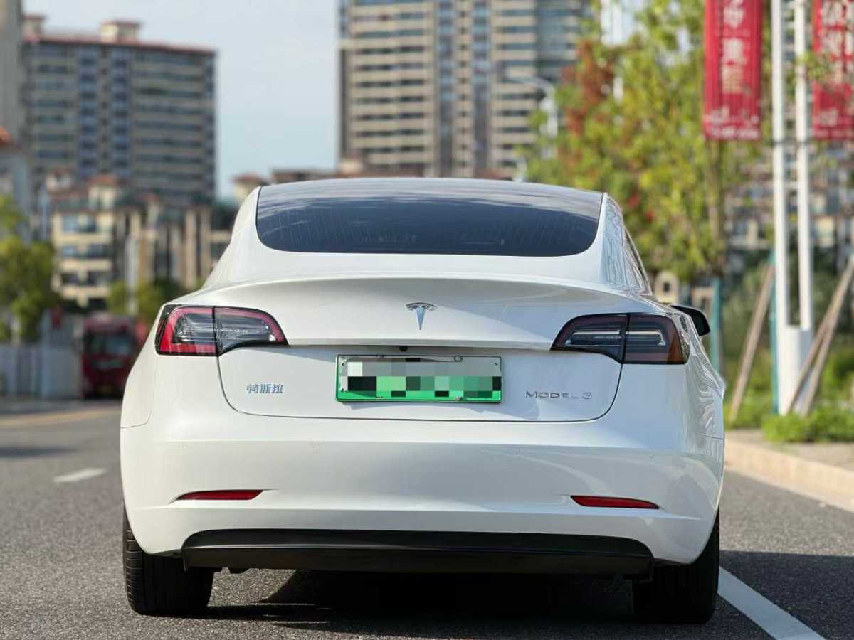 2021年1月特斯拉 Model Y  2020款 改款 標(biāo)準(zhǔn)續(xù)航后驅(qū)升級(jí)版