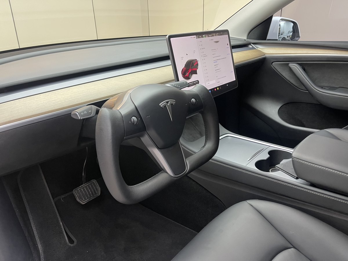 特斯拉 Model Y  2021款 標(biāo)準(zhǔn)續(xù)航后驅(qū)版圖片