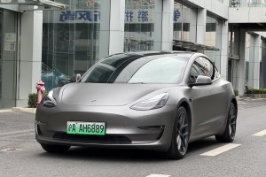 Model 3 特斯拉 Performance高性能全轮驱动版