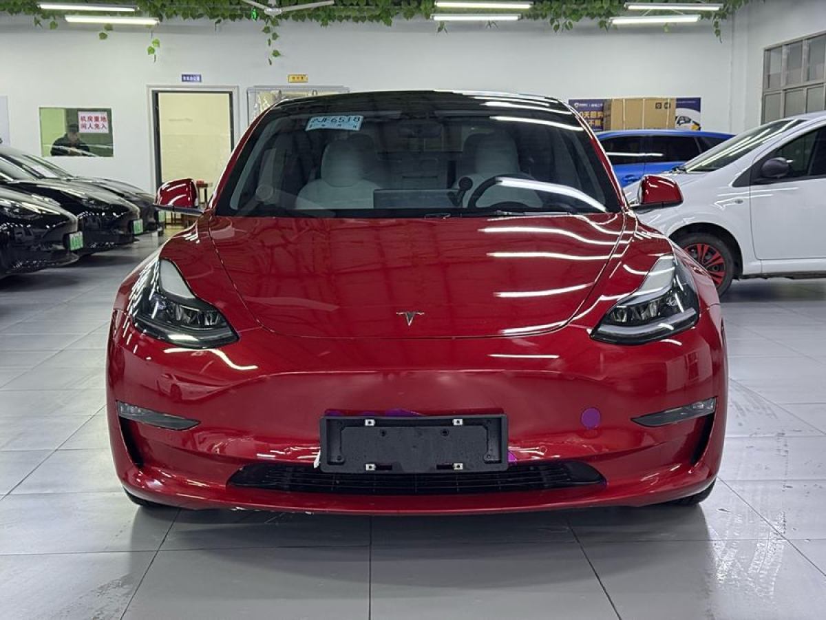 特斯拉 Model 3  2021款 改款 Performance高性能全輪驅(qū)動(dòng)版圖片