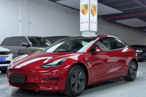 Model 3 特斯拉 改款 標(biāo)準(zhǔn)續(xù)航后驅(qū)升級版