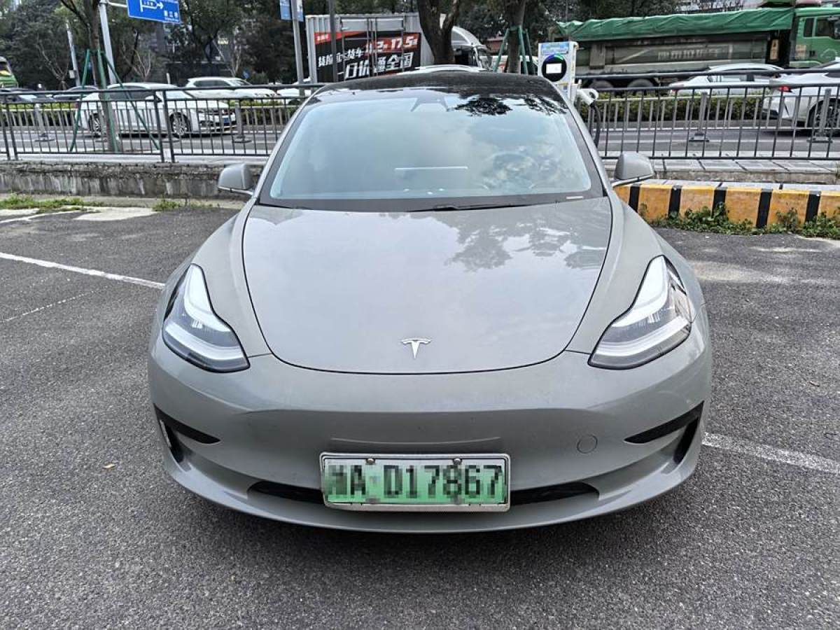 特斯拉 Model 3  2020款 改款 標準續(xù)航后驅升級版圖片